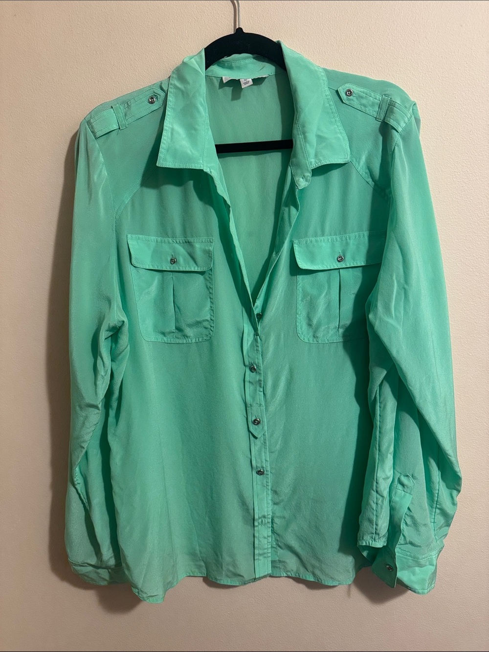 Banana Republic 100% silk green blouse - Women’s XL sea foam green